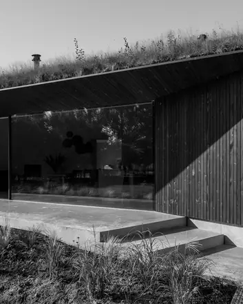 Terras in beton, minimalistisch modern huis met groen dak