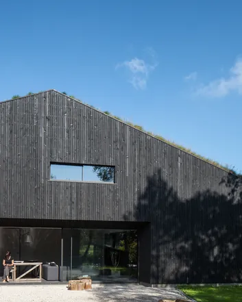 Modern zwart houten huis met groen dak, glazen front en minimalistische architectuur